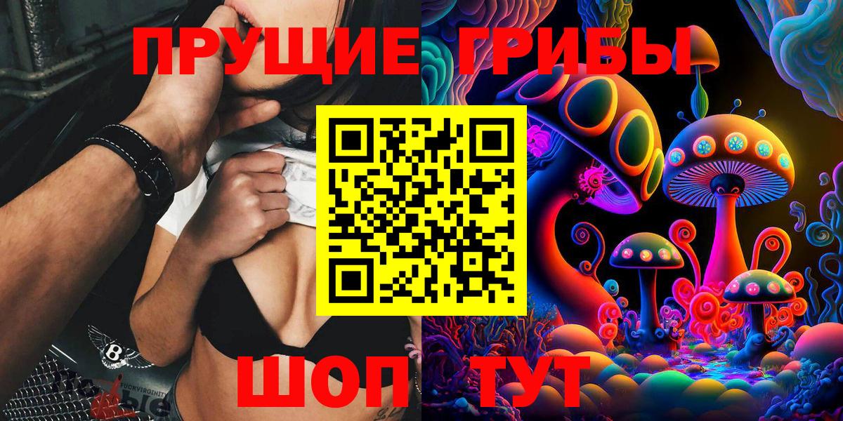 Псилоцибиновые грибы Psilocybe Кулебаки